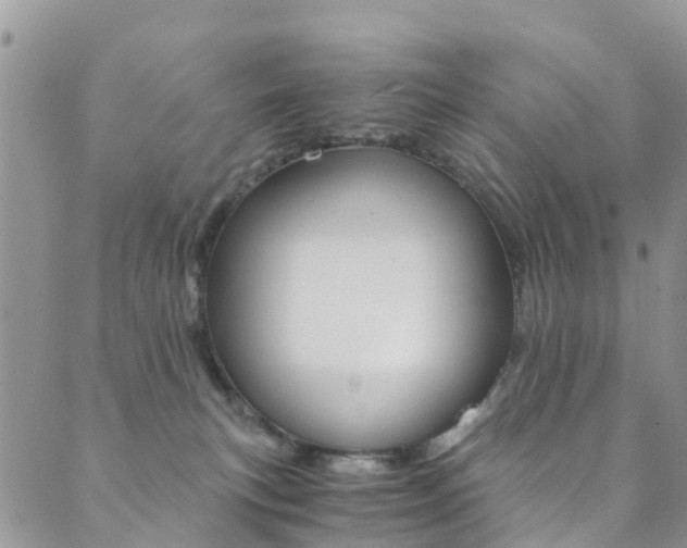 X0000089710183200706210925