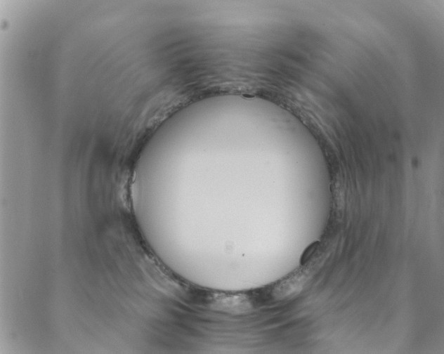 X0000089710185200706210925