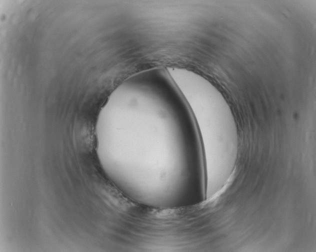 X0000089710186200706210925