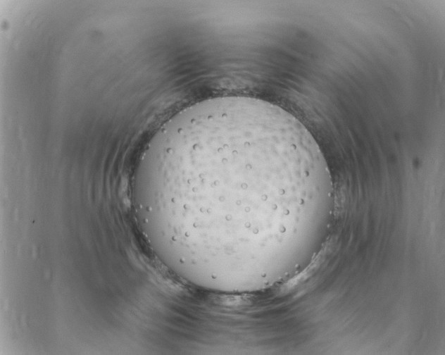 X0000089710187200706210925