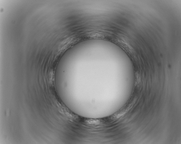 X0000089710189200706210925