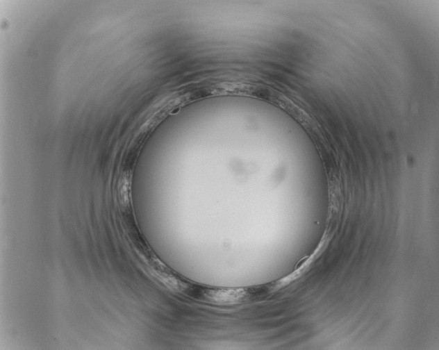 X0000089710191200706210925