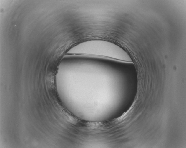 X0000089710192200706210925