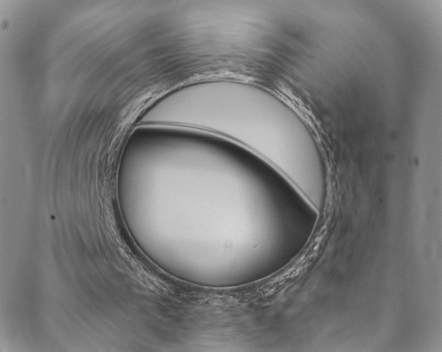 X0000089710193200706210924