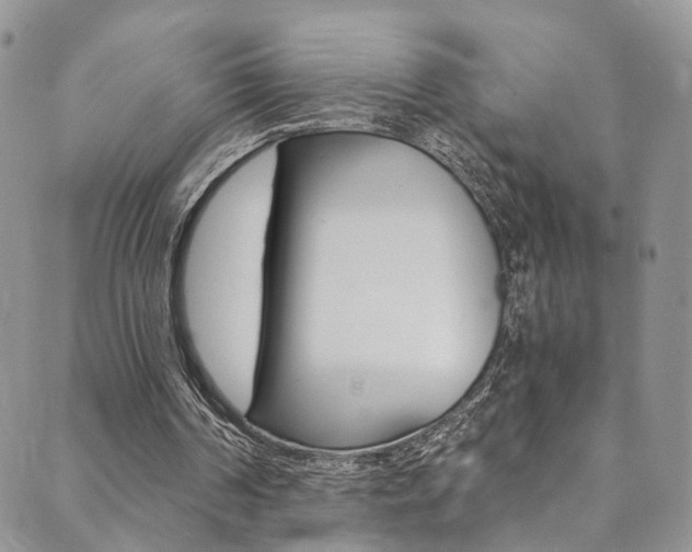 X0000089710194200706210924