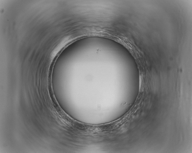 X0000089710195200706210924