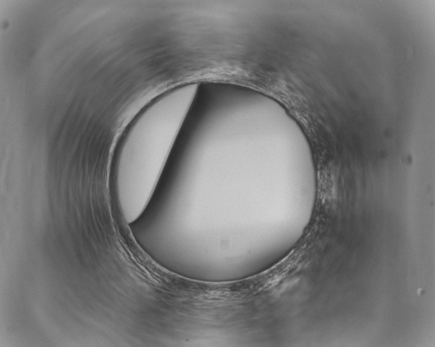 X0000089710196200706210924