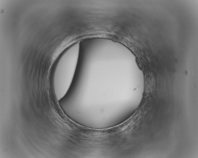 X0000089710198200706210924