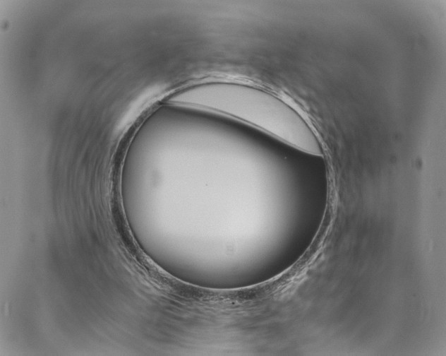 X0000089710199200706210924