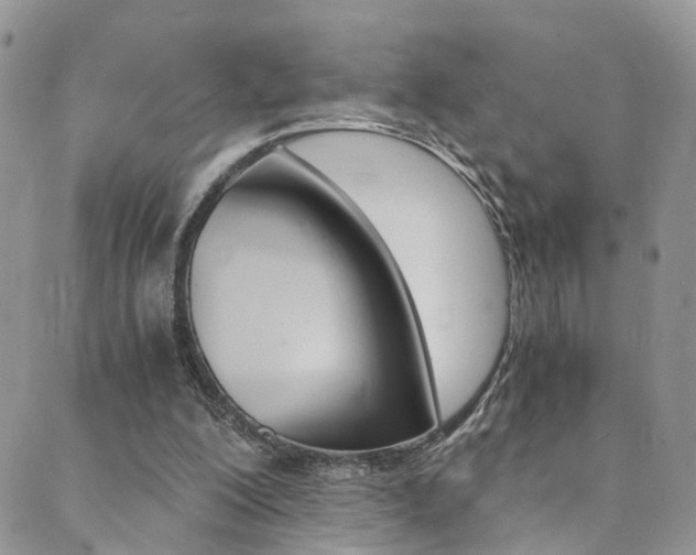 X0000089710200200706210924