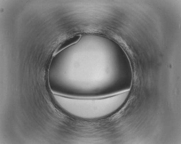 X0000089710201200706210924