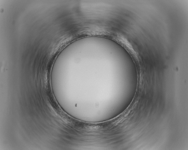 X0000089710202200706210924