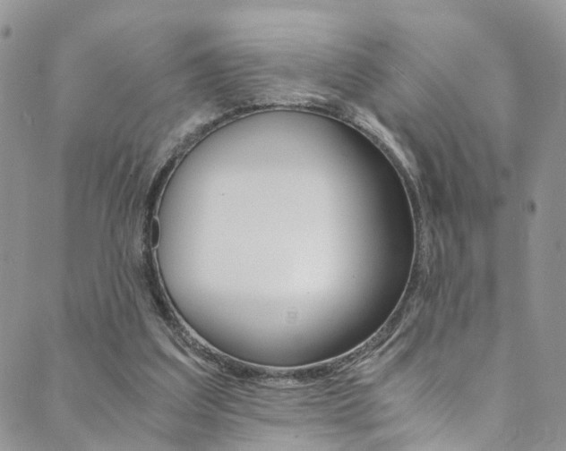 X0000089710203200706210924