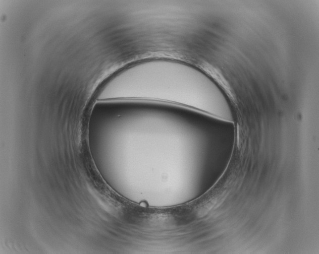 X0000089710204200706210924