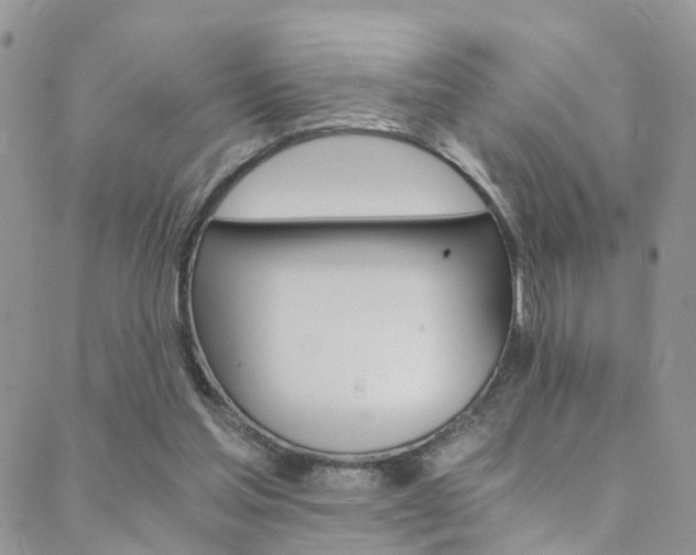 X0000089710205200706210924