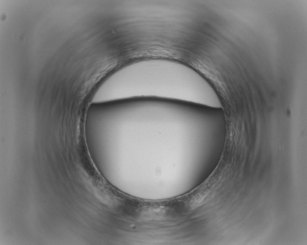 X0000089710206200706210924