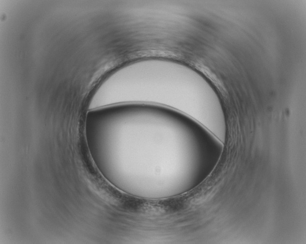 X0000089710207200706210924