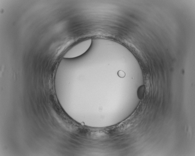 X0000089710208200706210924