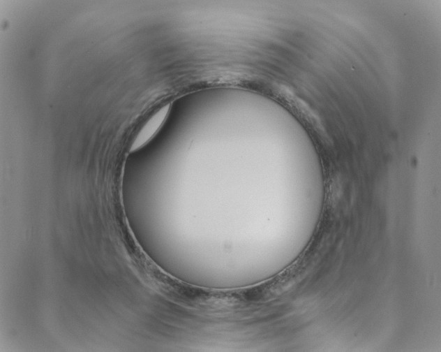 X0000089710209200706210924