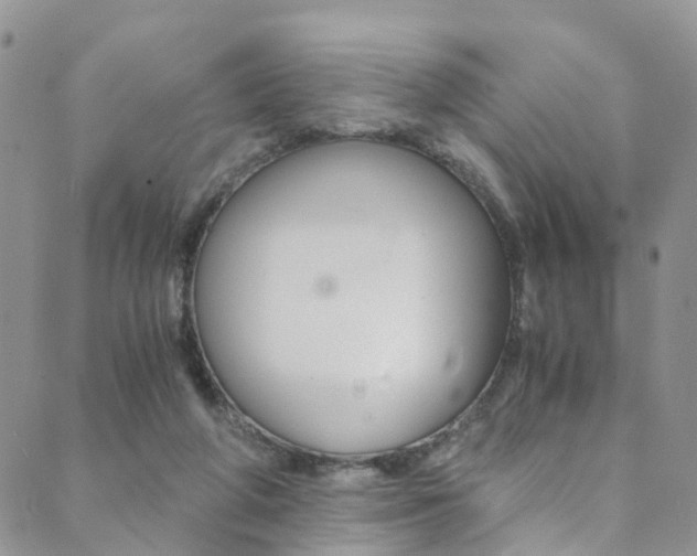 X0000089710210200706210924