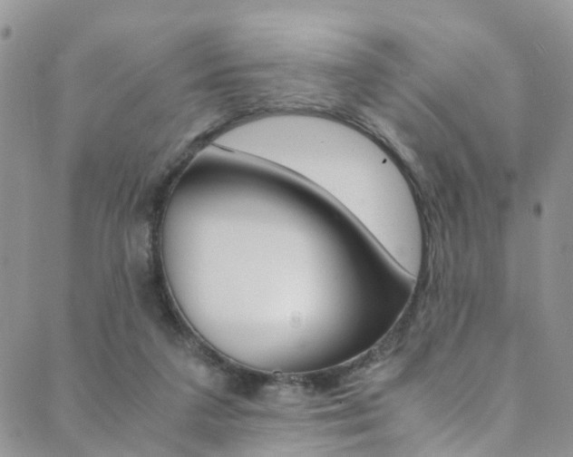 X0000089710211200706210924