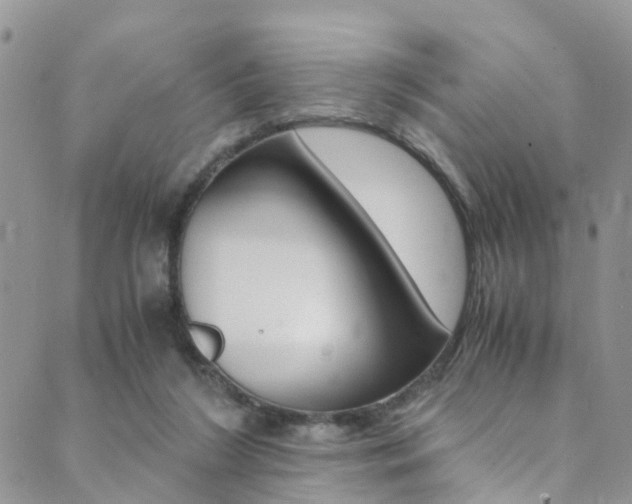 X0000089710212200706210924