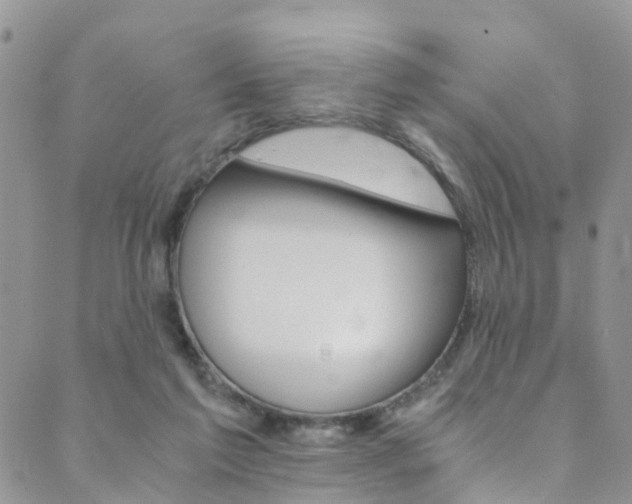 X0000089710213200706210924