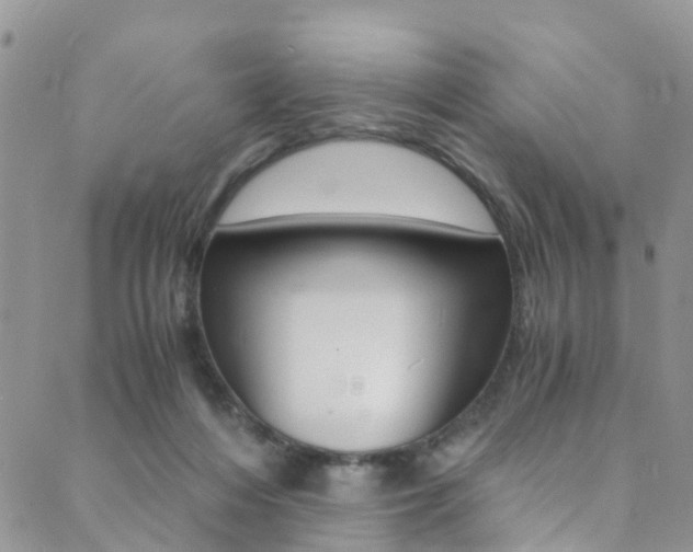 X0000089710216200706210924