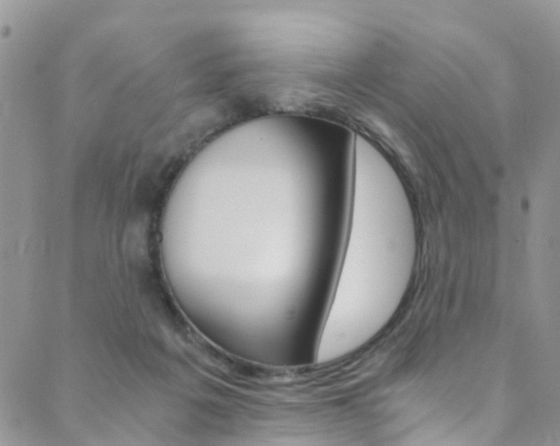 X0000089710217200706210924