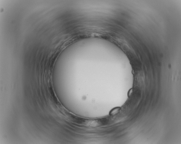 X0000089710218200706210924