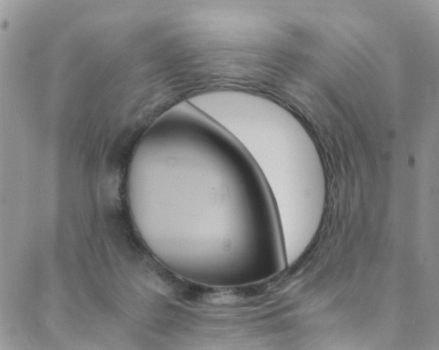 X0000089710219200706210924