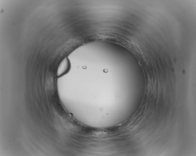 X0000089710220200706210924