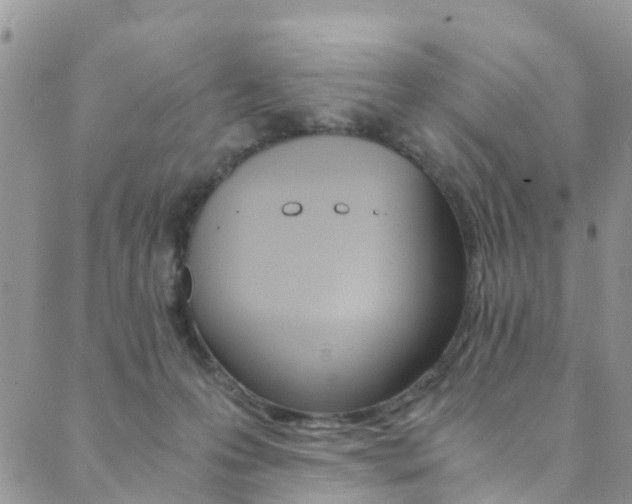 X0000089710223200706210924