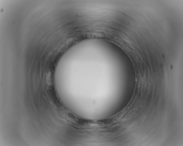 X0000089710224200706210924