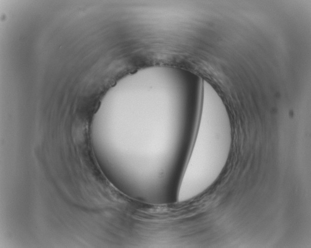 X0000089710225200706210924