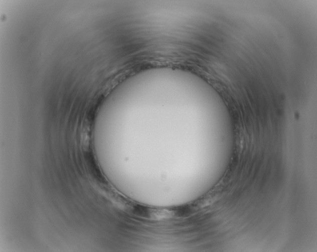 X0000089710226200706210924