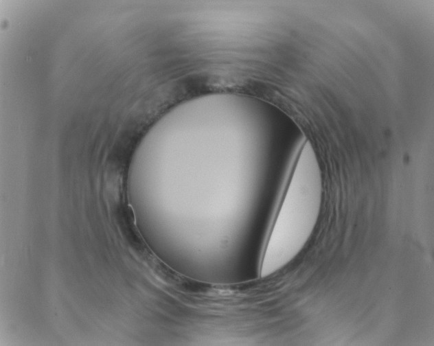 X0000089710227200706210924