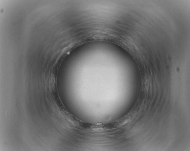 X0000089710228200706210924