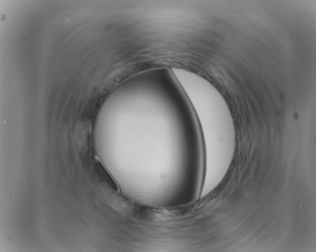 X0000089710229200706210924