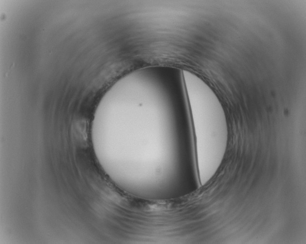 X0000089710232200706210924