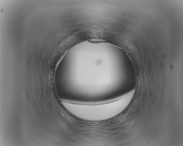 X0000089710233200706210924