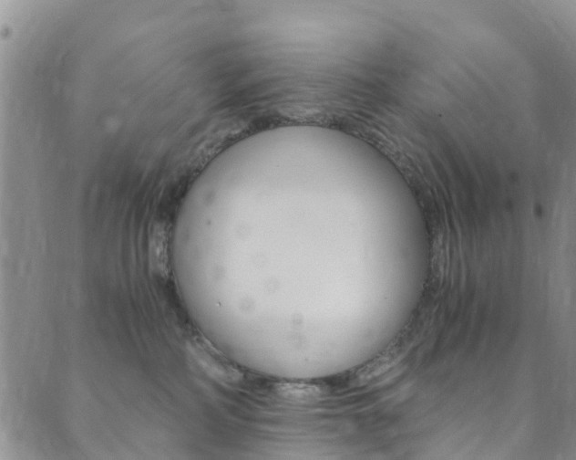 X0000089710234200706210924