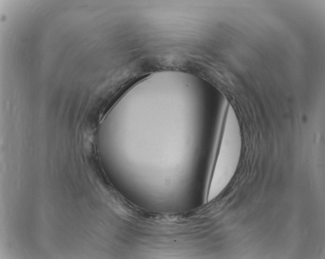 X0000089710235200706210924