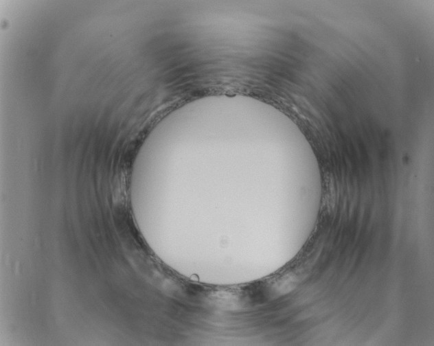 X0000089710236200706210924