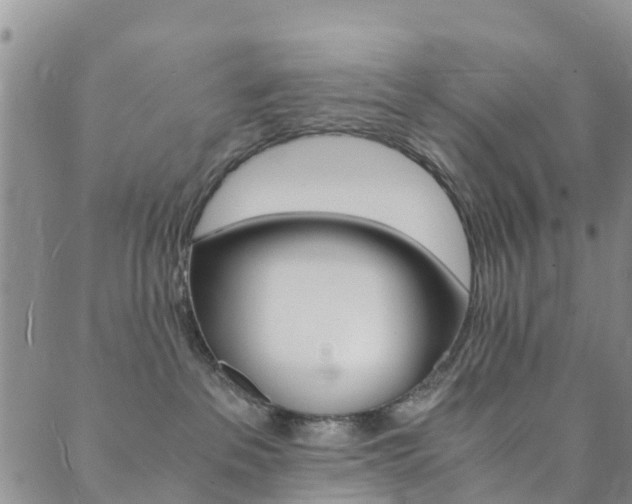 X0000089710237200706210924