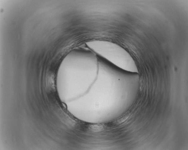 X0000089710238200706210924