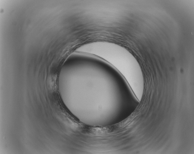 X0000089710239200706210924