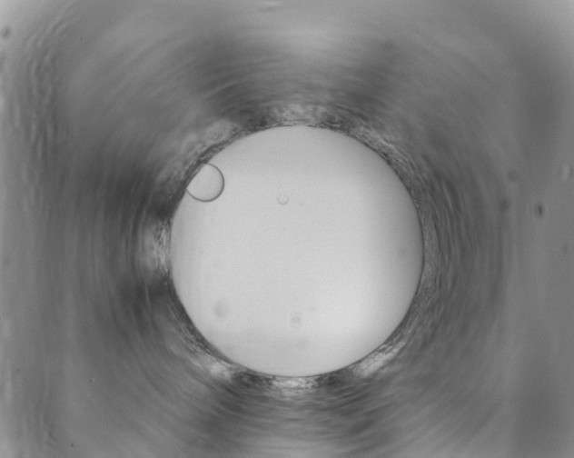 X0000089710240200706210924