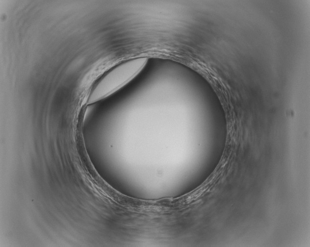 X0000089710242200706210923