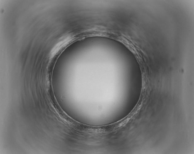 X0000089710245200706210923